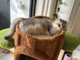 Foto da avaliação Carlos 2